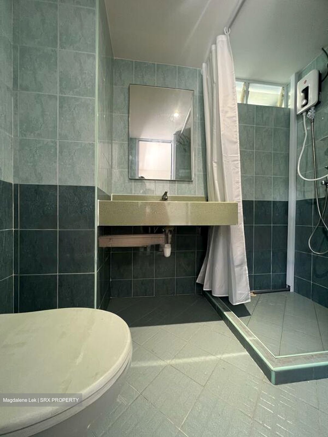 Dunearn Road (D11), Condominium #473770991